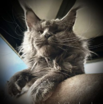 Screenshot 2025-09-19 at 12.17.11