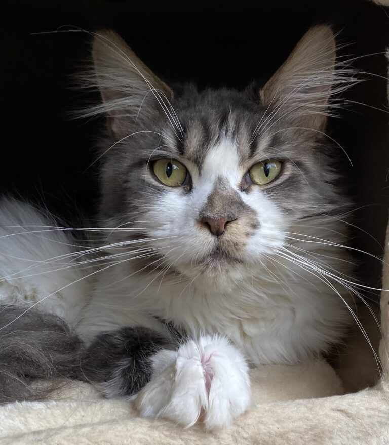 4D02A8FA-55F9-4CDB-AACE-D066D9E2FFF6