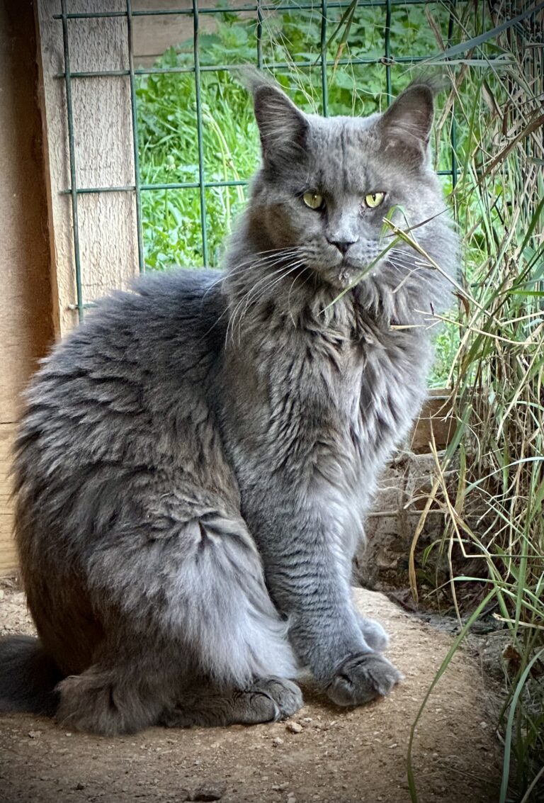 58CAF5AC-4AC7-4C7D-96D2-20CDAD563398