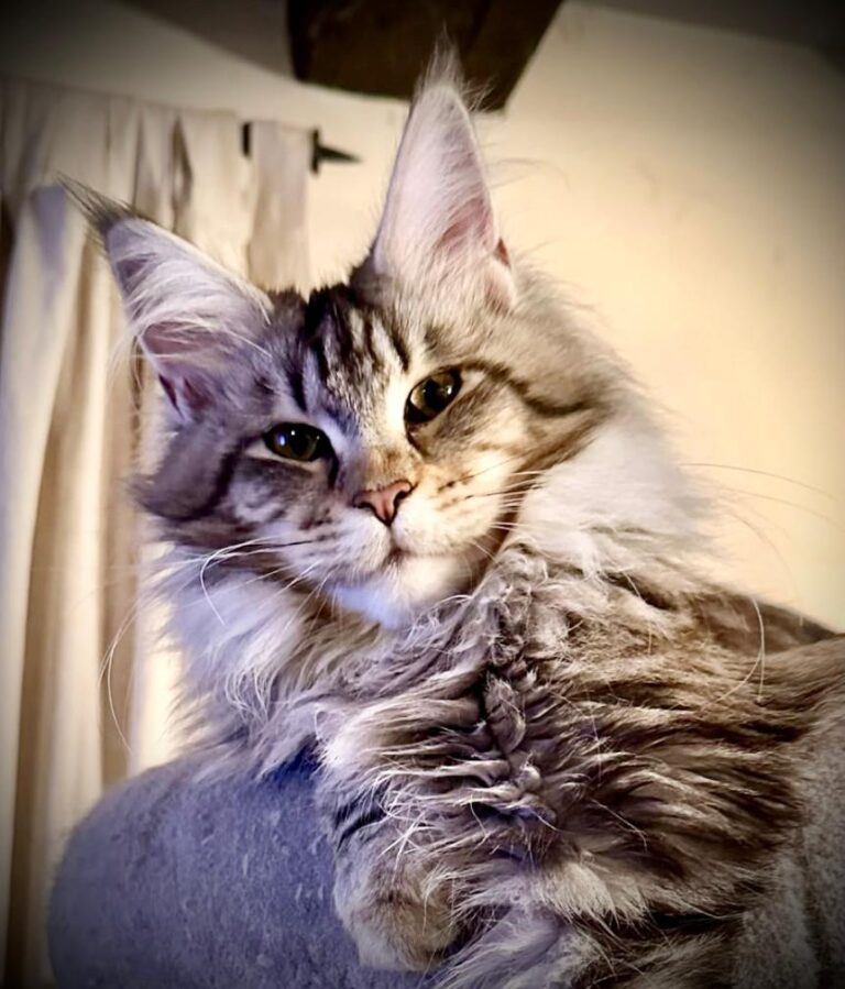 WhatsApp Image 2025-09-25 at 20.49.57 (3)