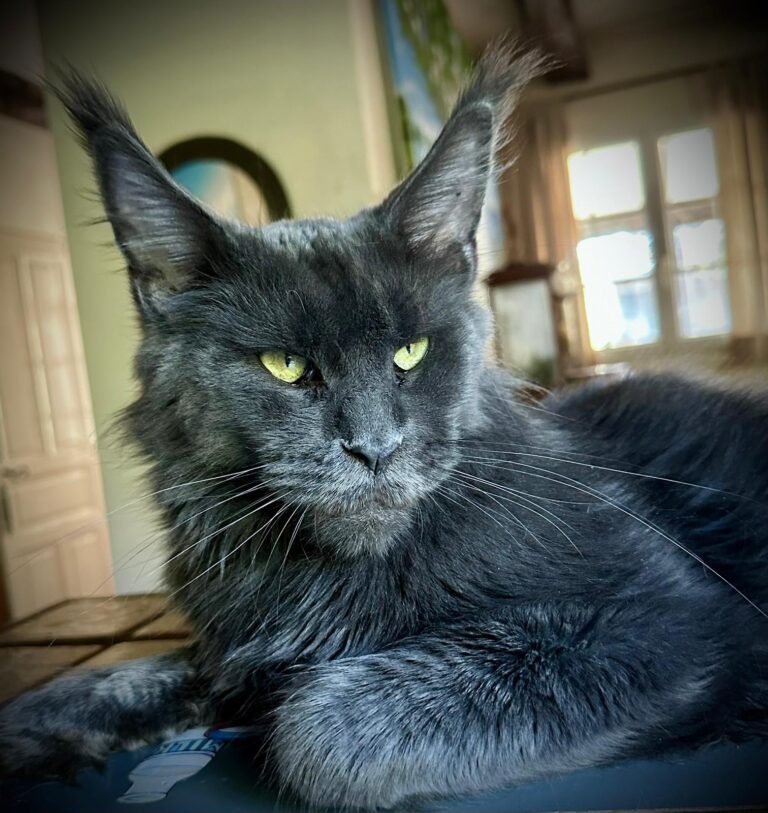 WhatsApp Image 2025-09-25 at 20.49.58 (2)