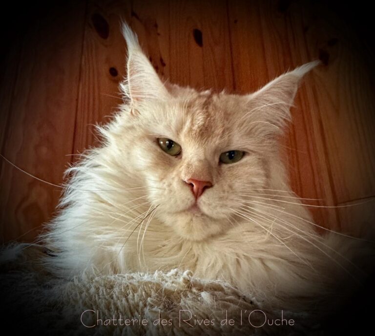 WhatsApp Image 2025-09-25 at 20.51.03 (4)