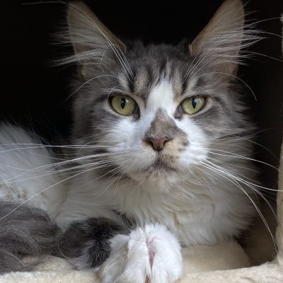 4D02A8FA-55F9-4CDB-AACE-D066D9E2FFF6