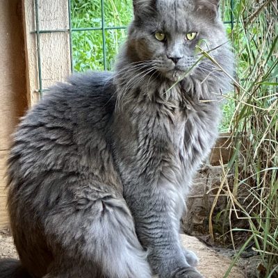 58CAF5AC-4AC7-4C7D-96D2-20CDAD563398