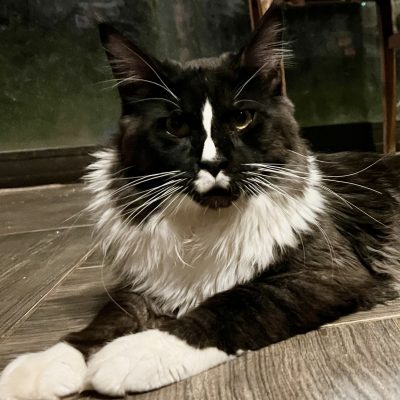 8D39E1C5-DE09-475E-A8C3-AB9B73B040C3