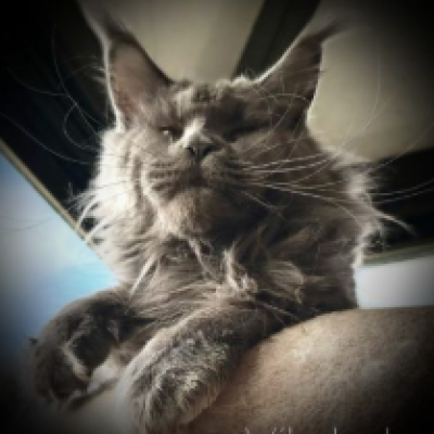 Screenshot 2025-09-19 at 12.17.11