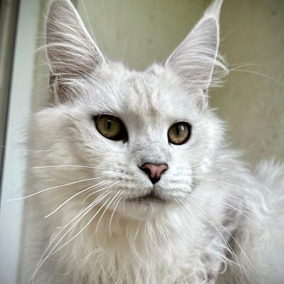 WhatsApp Image 2025-09-25 at 20.49.57 (1)