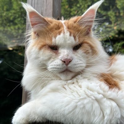 WhatsApp Image 2025-09-25 at 20.49.57 (2)