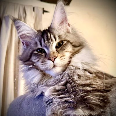 WhatsApp Image 2025-09-25 at 20.49.57 (3)