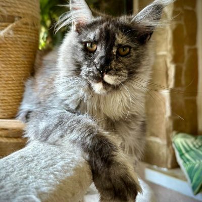 WhatsApp Image 2025-09-25 at 20.50.59