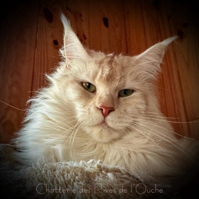 WhatsApp Image 2025-09-25 at 20.51.03 (4)